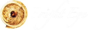 BrightEye logo vector
